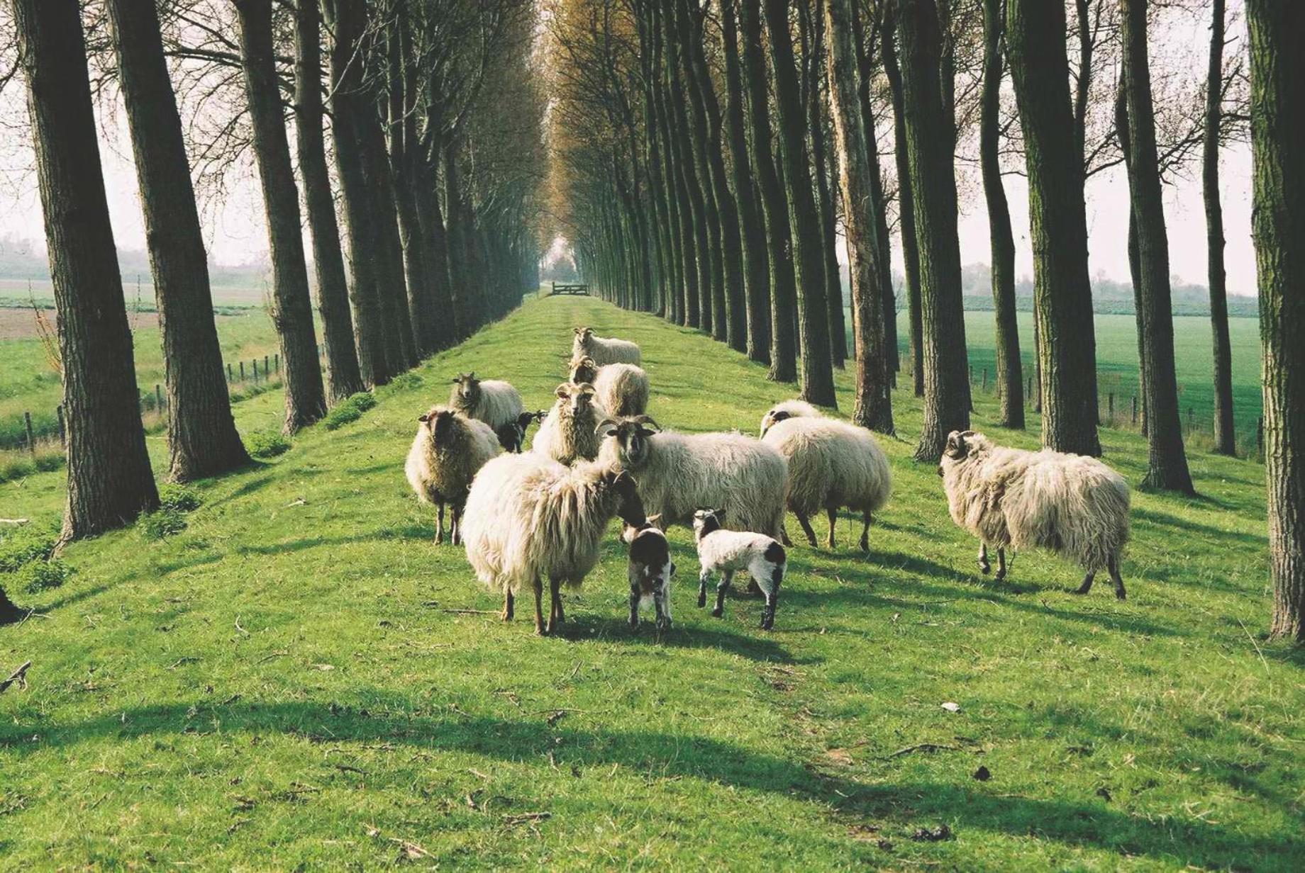 B&B Landgoed Rijckholt Geersdijk 外观 照片